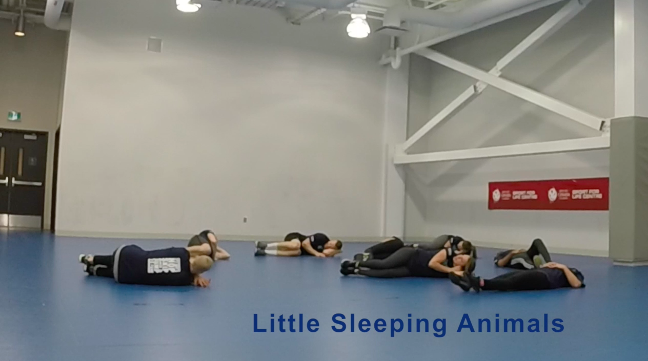 Little Sleeping Animals | Fit Kids Healthy Kids